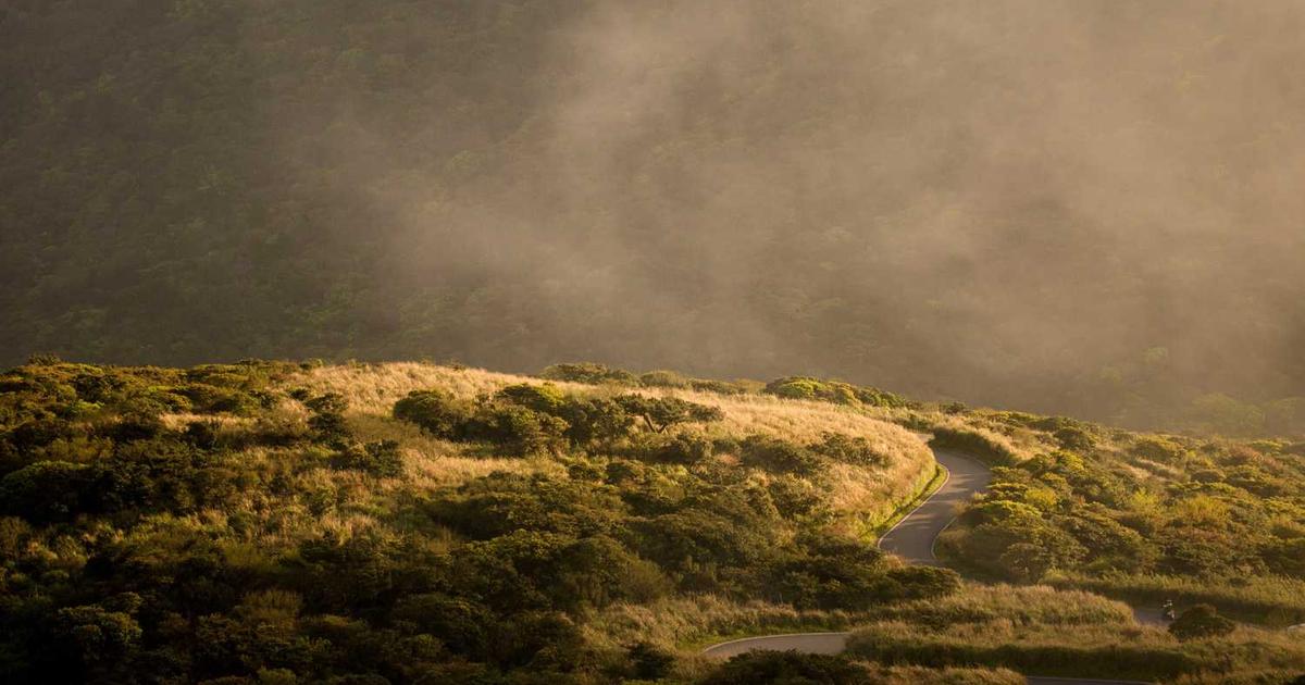 What is Volta Labs, Inc.? - Company Overview & Details