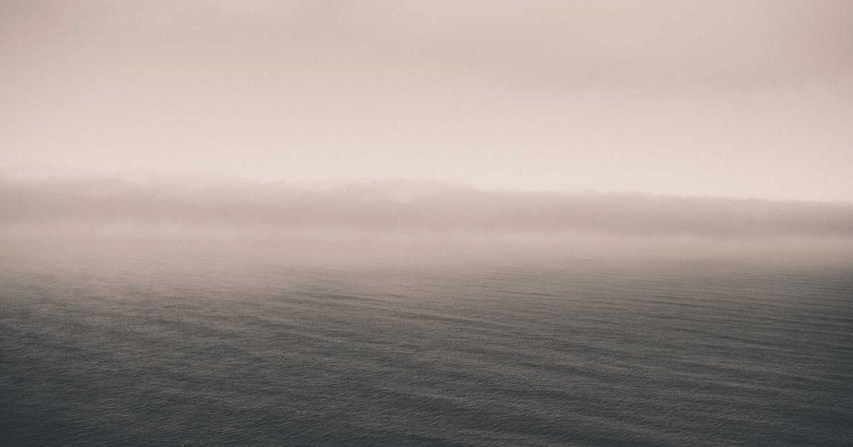 What is Wakie? - Company Overview & Details