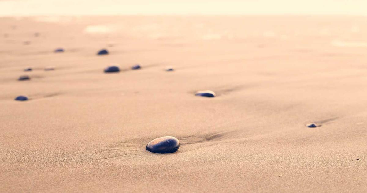 What is Workbase? - Company Overview & Details