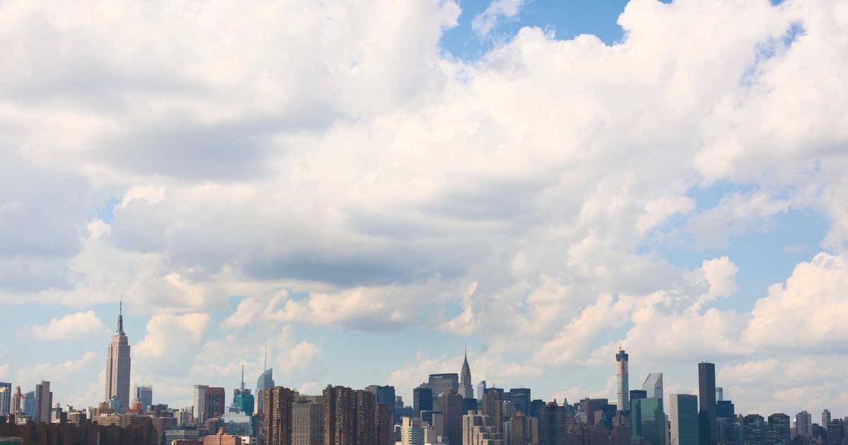 What is Yotta? - Company Overview & Details