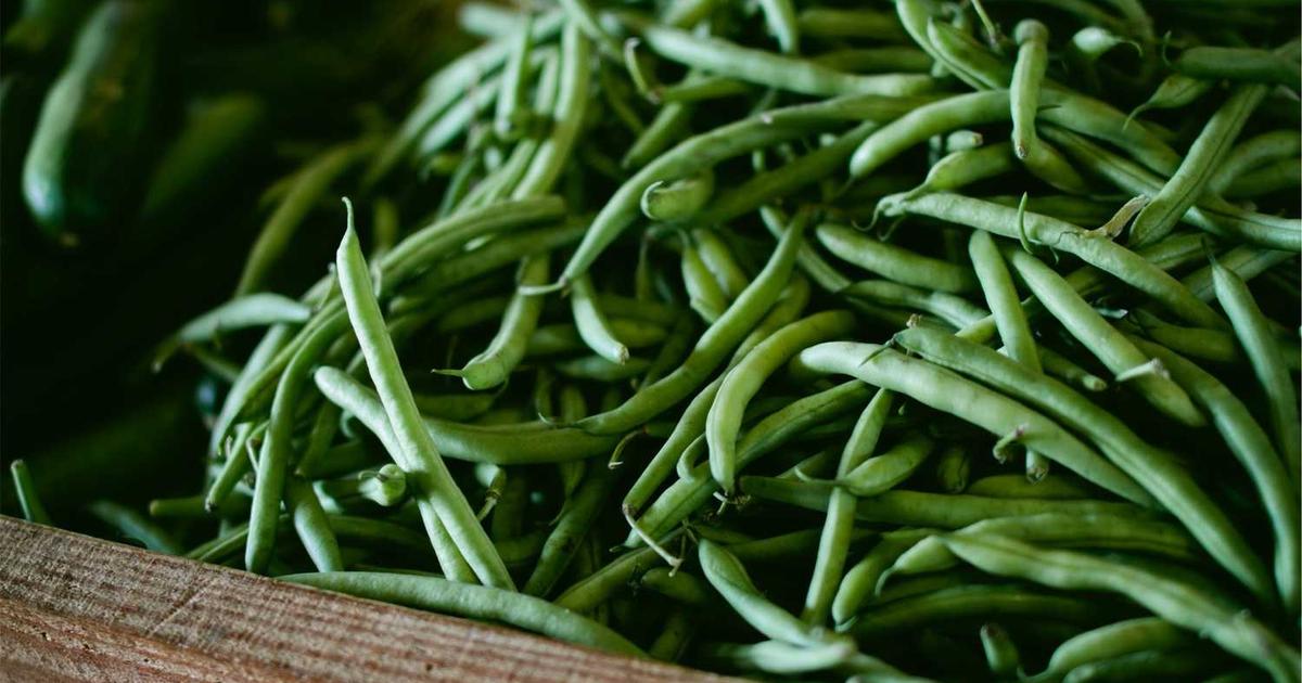 What is Zidisha Inc.? - Company Overview & Details