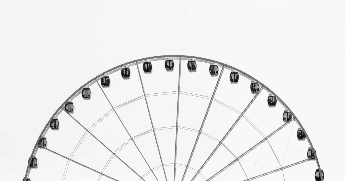 What is Zoomer? - Company Overview & Details