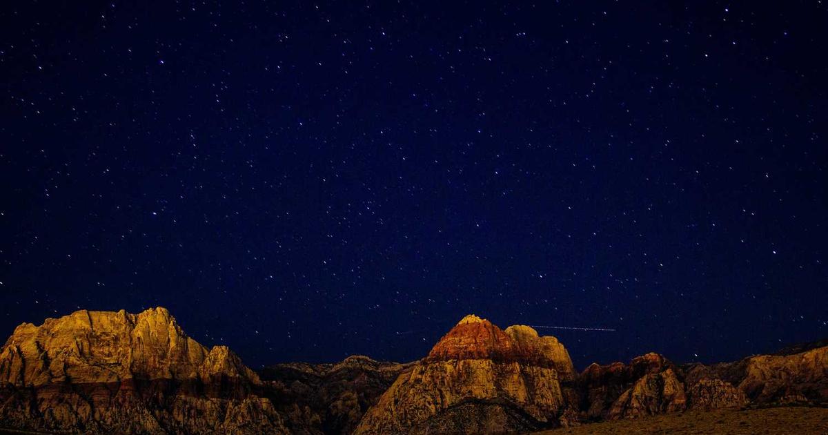 Empowering Japanese MedTech Consultancies: The Strategic Partnership to Unlock Global Market Access