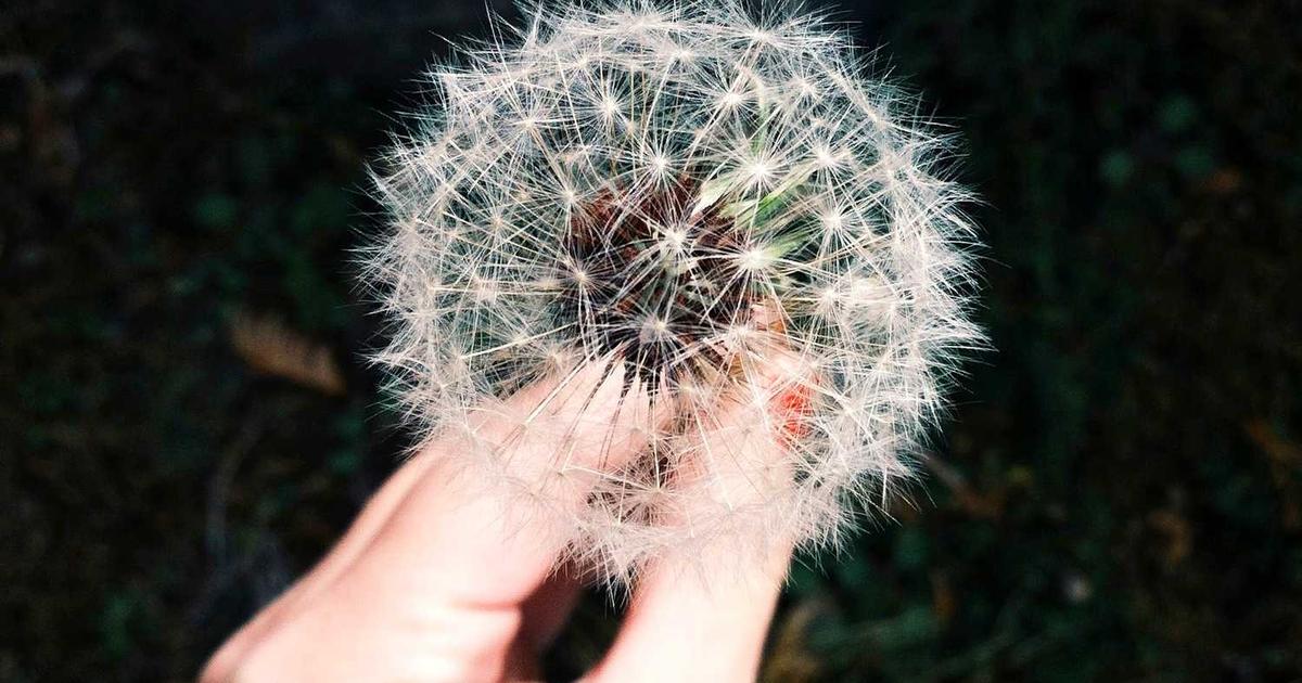 Mastering Brazil’s Medical Device Market: A Guide to Navigating ANVISA’s Regulatory Landscape for Class II Devices