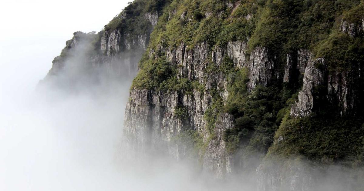 Mastering Colombia’s IVD Regulatory Landscape: A Guide to Successful Market Entry