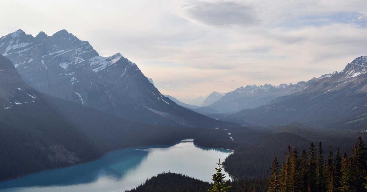 Mastering Colombia’s Rigorous Post-Market Surveillance for Medical Devices: A Guide for MedTech & HealthTech Companies