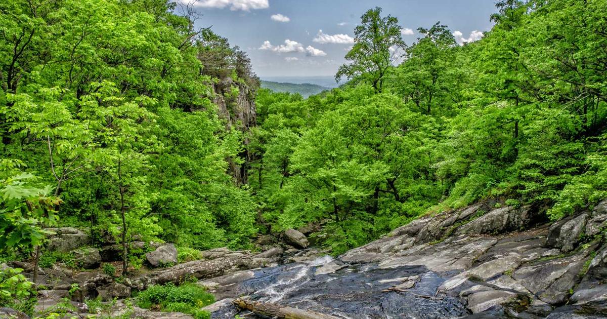 Mastering the Complexities of India’s UDI Implementation: A Strategic Guide for MedTech and HealthTech Companies