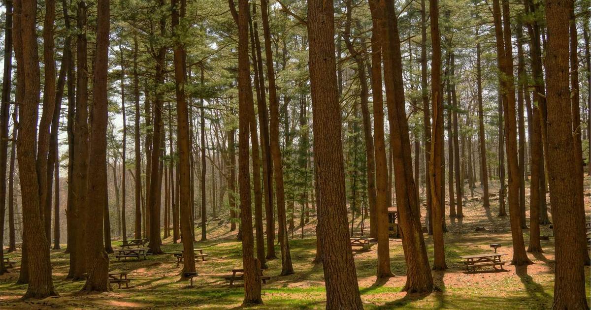 Strategic Partnerships with Pure Global: Unlocking Global Growth in MedTech & IVD Sectors