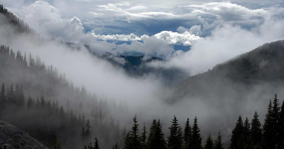 Understanding HSA UDI Guidelines: What You Need to Know