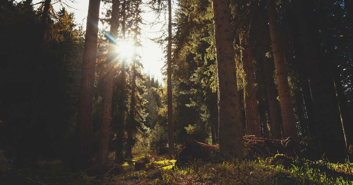 Understanding ISO 13485: The International Standard for Medical Device Quality Management Systems