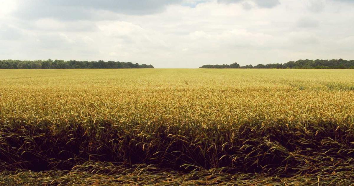 Unlock New Revenue Streams and Accelerate Global Growth by Partnering with Pure Global for MedTech and HealthTech Market Access